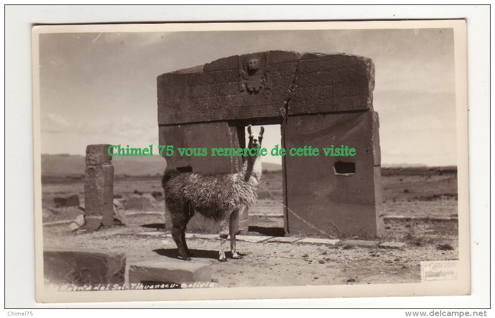 BOLIVIE Carte Type Photo JIMENEZ  Lac Titicaca  Lama - Bolivia