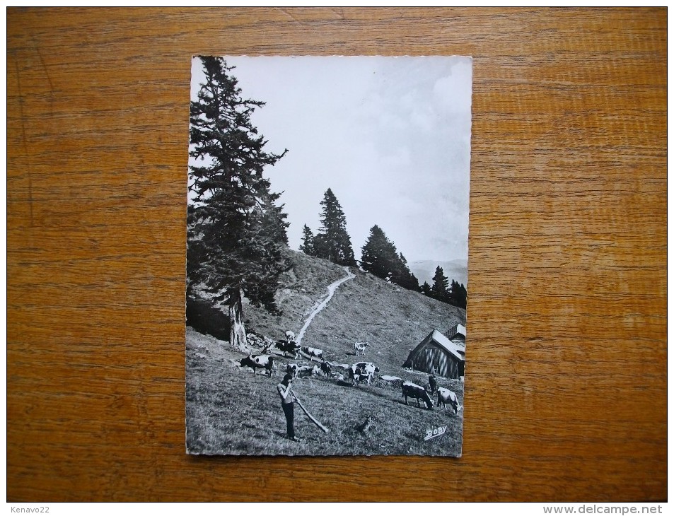 Ferme Restaurant Du Schalleren ( Vallée De Munster )  Carte Animée Troupeau De Vache Et Personnage Jouant De La Musique - Autres & Non Classés