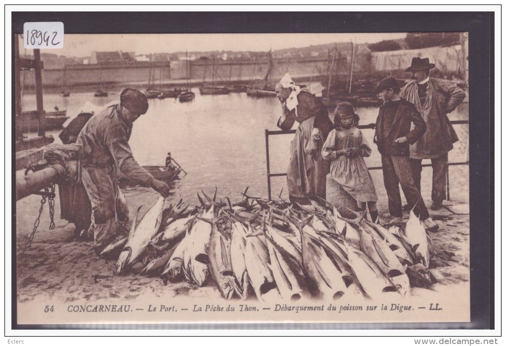 CONCARNEAU - LA PECHE AUX THONS - TB - Concarneau