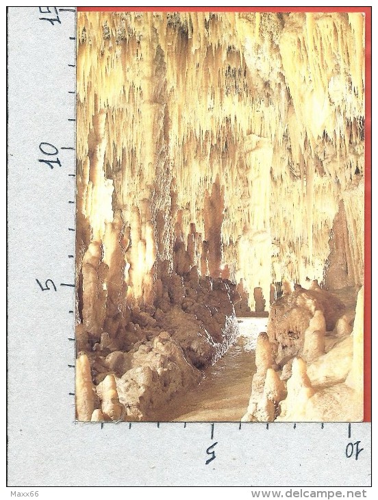 CARTOLINA VG ITALIA - Grotte Di CASTELLANA (BARI) - Silenzioso Splendore - 10 X 15 - ANN. 198? - Bari