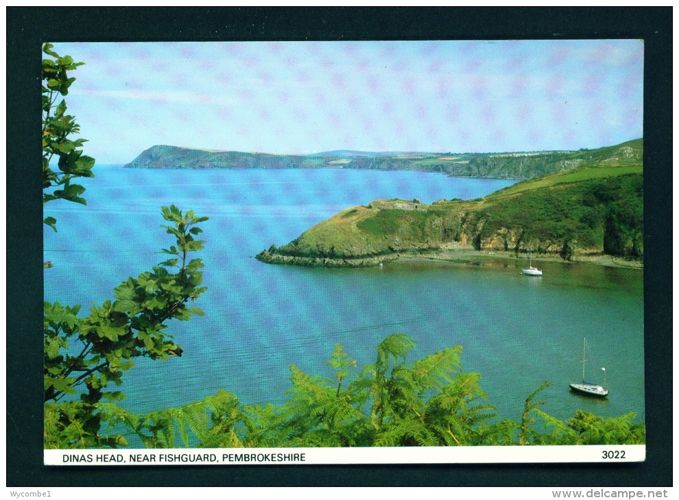 WALES  -  Dinas Head  Used Postcard As Scans - Pembrokeshire