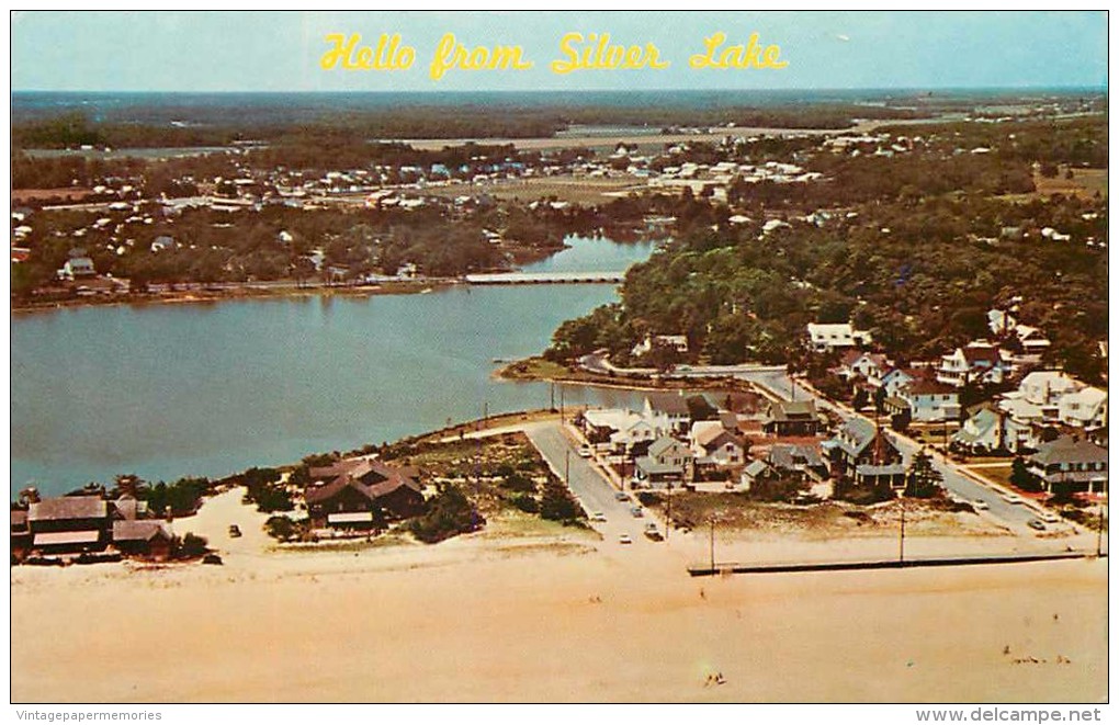 262265-Delaware, Silver Lake, Looking West, Aerial View, Snyder & Rodgers By Dexter Press No 20525-C - Andere & Zonder Classificatie