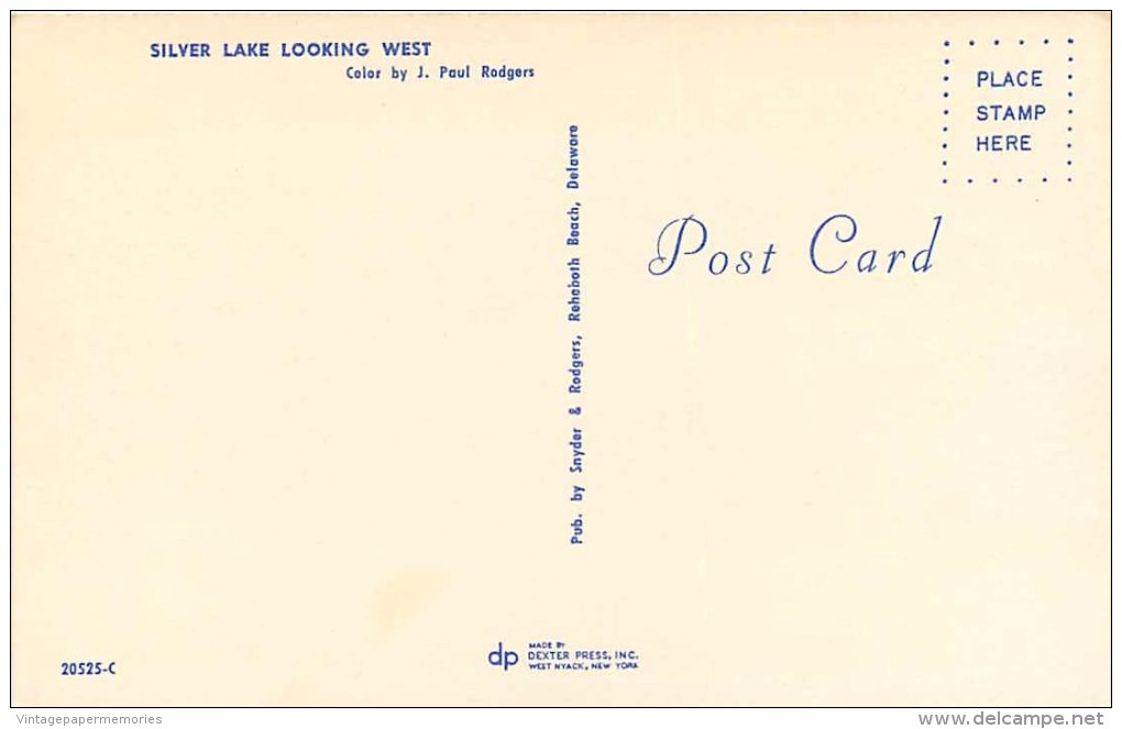 262265-Delaware, Silver Lake, Looking West, Aerial View, Snyder & Rodgers By Dexter Press No 20525-C - Andere & Zonder Classificatie