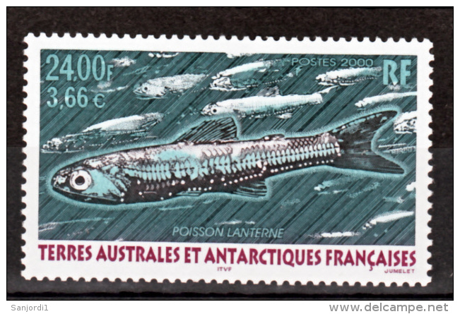 TAAF 268  Poisson Lanterne Neuf ** MNH Sin Charmela Faciale 3.66 - Nuevos