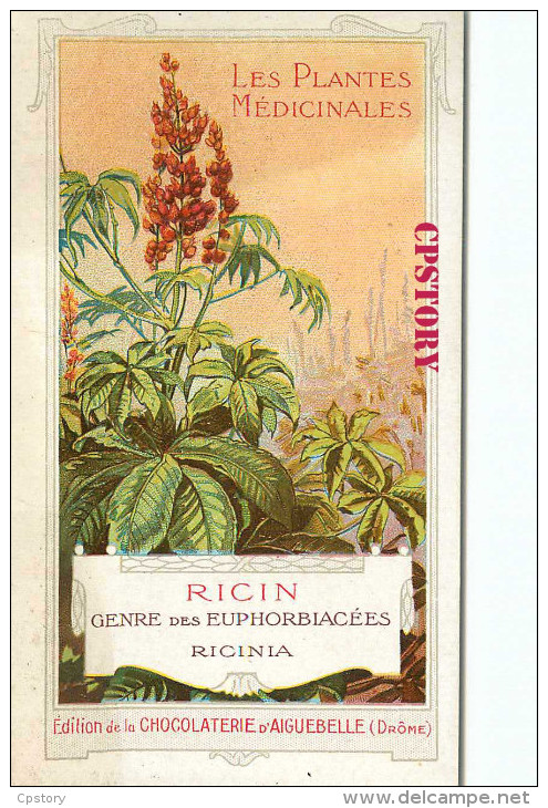 ACHAT DIRECT < RICIN < GENRE Des EUPHORBIACÉES - RICIN PLANTE MEDICINALES - PUBLICITE CHOCOLAT D´AIGUEBELLE - DOS SCANNE - Geneeskrachtige Planten