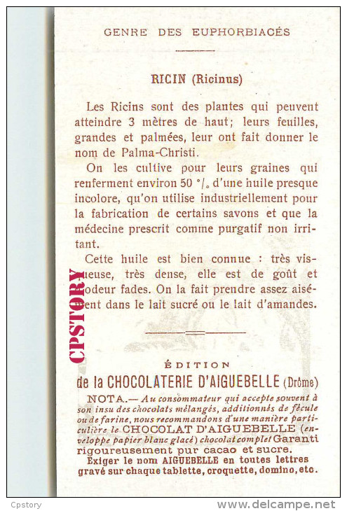 ACHAT DIRECT < RICIN < GENRE Des EUPHORBIACÉES - RICIN PLANTE MEDICINALES - PUBLICITE CHOCOLAT D´AIGUEBELLE - DOS SCANNE - Plantes Médicinales