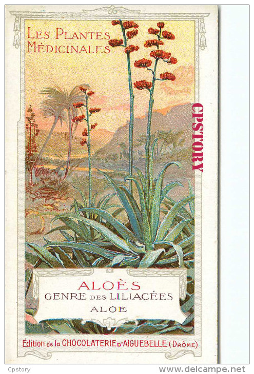ACHAT DIRECT < ALOÉS < GENRE Des LILIACÉES - ALOES PLANTE MEDICINALES - PUBLICITE CHOCOLAT D´AIGUEBELLE - DOS SCANNE - Geneeskrachtige Planten