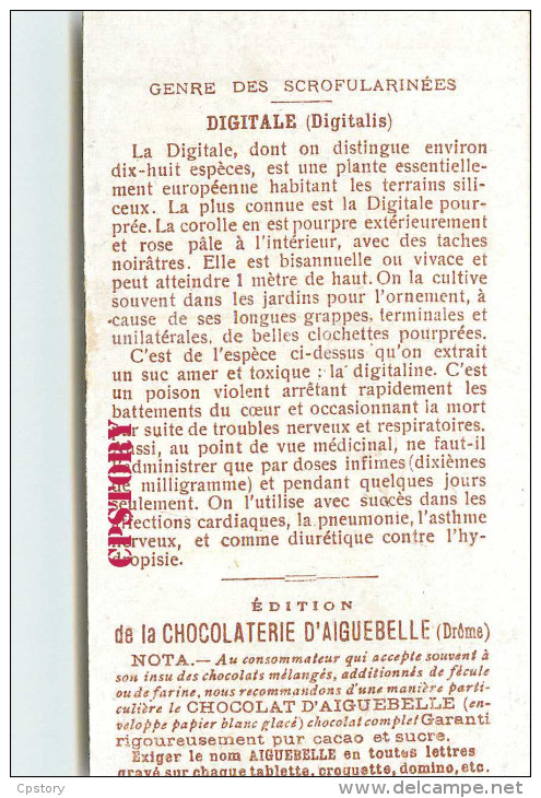 DIGITALE < GENRE Des SCROFULARINÉES - DIGITALIS PLANTE - PLANTES MEDICINALES - PUBLICITE CHOCOLAT AIGUEBELLE - SCAN DOS - Geneeskrachtige Planten