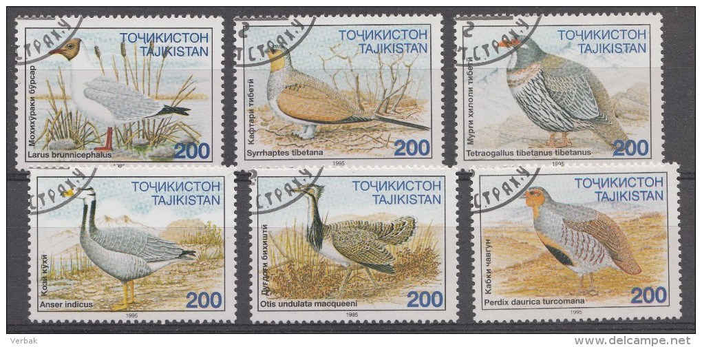 Animaux Tadjikistan 1995 Oblitérés / Used / Gestempeld - Andere & Zonder Classificatie