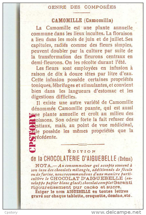 CAMOMILLE < GENRE Des COMPOSEES CAMOMILLA - PLANTE - PLANTES MEDICINALES - PUBLICITE CHOCOLAT AIGUEBELLE - SCAN DOS - Geneeskrachtige Planten