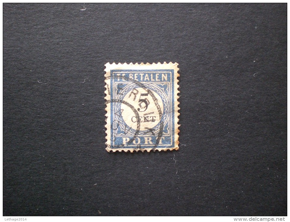STAMPS PAESI BASSI TASSE 1881 5 CENT BLUE  III TIPO - Postage Due