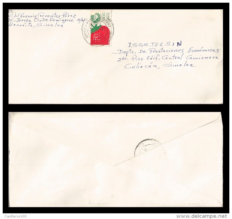 E)1995 MEXICO,  MEXICO XPORTS, STRAWBERRIES, CIRCULATED COVER FROM MOCORITO  TO CULIACAN-SINALOA,  INTERNAL USAGE,  XF - Mexico