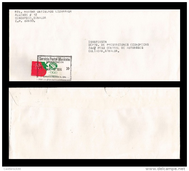 E)1994 MEXICO,  MEXICO EXPORTA, STRAWBERRIES, CIRCULATED COVER FROM CONCORDIA TO CULIACAN-SINALOA, INTERNAL USAGE,  XF - Mexico