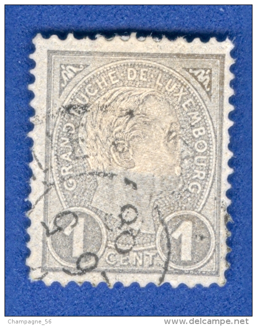 VARIÉTÉS 1895 N° 69 GRAND DUC ADOLPHE 1 ER DE PROFIL OBLITÉRÉ DOS CHARNIÈRE - Variedades & Curiosidades