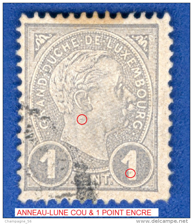 VARIÉTÉS 1895 N° 69 GRAND DUC ADOLPHE 1 ER DE PROFIL OBLITÉRÉ DOS CHARNIÈRE - Errors & Oddities