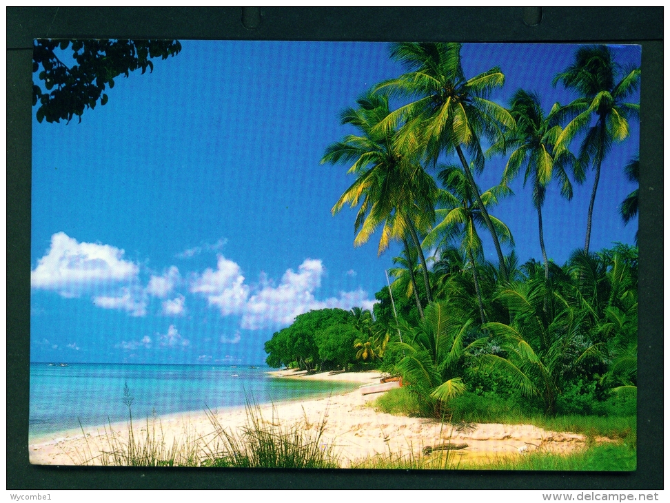 BARBADOS  -  Coast View  Used Postcard As Scans - Barbados