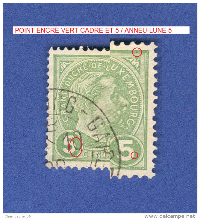 1895 N° 72 GRAND DUC ADOLPHE 1 ER DE PROFIL OBLITÉRÉ DOS CHARNIÈRE - Errors & Oddities