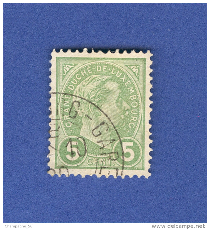 1895 N° 72 GRAND DUC ADOLPHE 1 ER DE PROFIL OBLITÉRÉ DOS CHARNIÈRE - Variétés & Curiosités