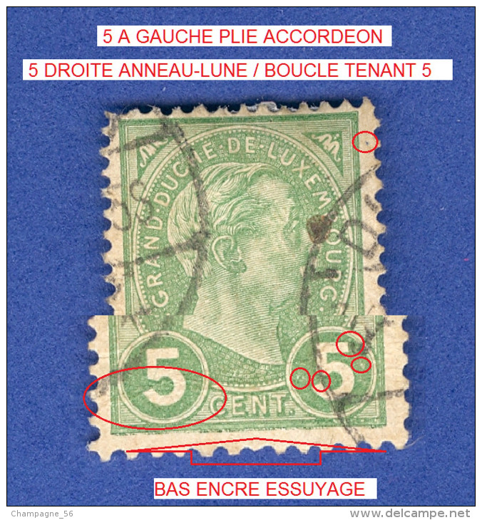 * 1895 N° 72 GRAND DUC ADOLPHE 1 ER DE PROFIL OBLITÉRÉ DOS CHARNIÈRE TB - Errors & Oddities