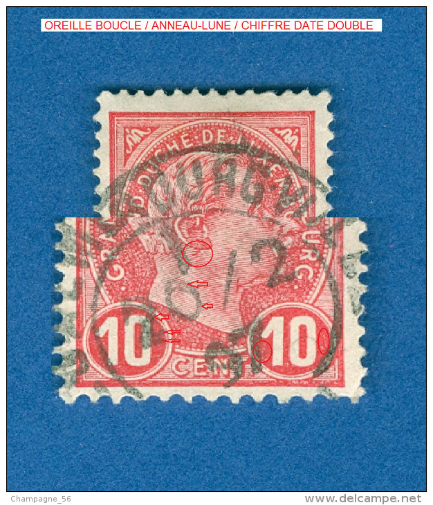 VARIÉTÉS 1895 N° 73 GRAND DUC ADOLPHE 1 ER DE PROFIL OBLITÉRÉ DOS CHARNIÈRE - Variedades & Curiosidades