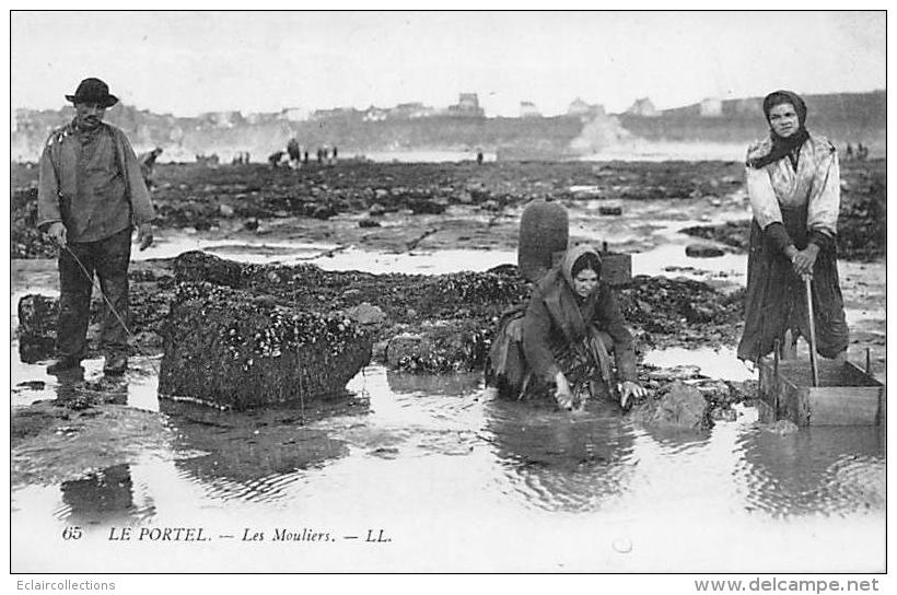 Le Portel    62     Pêche.  Mouliers Et Moulières - Le Portel