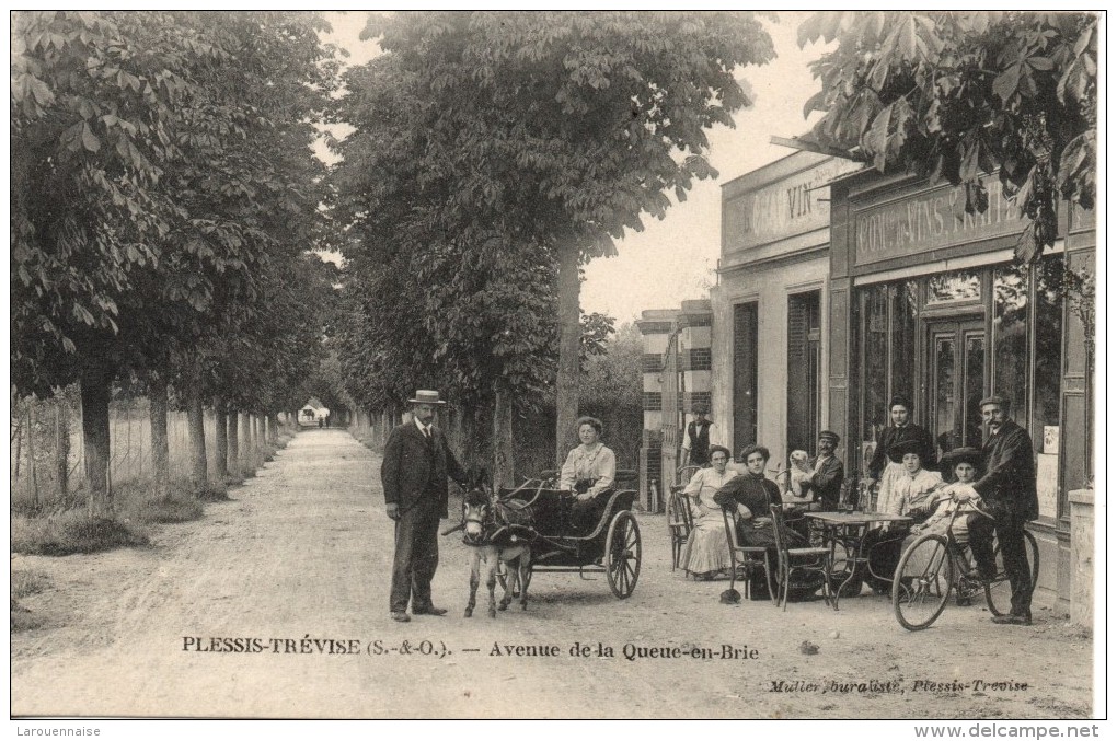 94 - LE PLESSIS TREVISE - Avenue De La Queue En Brie - Le Plessis Trevise