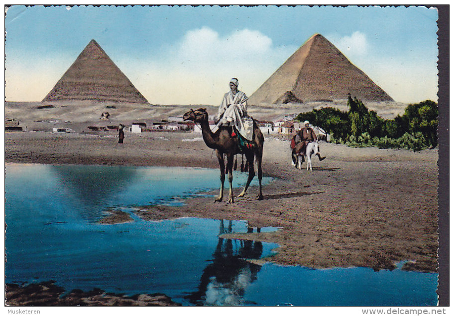 Egypte CPA Pyramids Of Giza Camel & Donkey PAR AVION Line & Censor Cds. LUXOR 1958 STOCKHOLM Sweden (2 Scans) - Gizeh