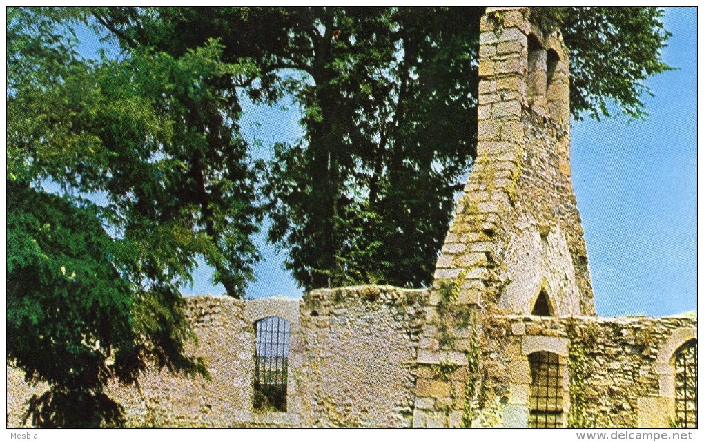 CPSM  -   BREHAL  (50)    Ruines De L'Eglise Paroissiale De Saint Martin Le Vieux ,  En Cours De Restauration - Autres & Non Classés