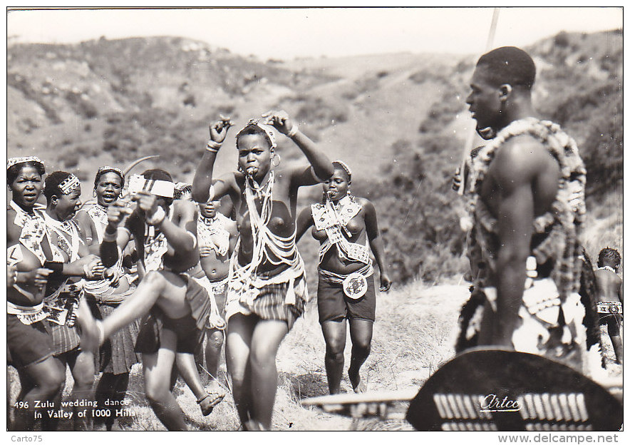 Afrique - South Africa - Zulu Wedding Dance - Zoulou - Valley Of 1000 Hills - Nu Danse Mariage - Guerrier - Afrique