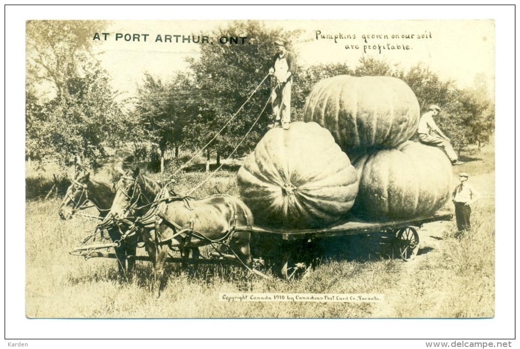 Amerika Canada Et Port Arthur . Pumpkins Gron'n On Our Soil Are Porfitable (tax Stempel En Zegel ) - Port Arthur