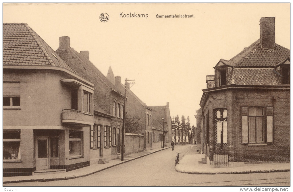 KOOLSKAMP - Gemeentehuisstraat - Ardooie