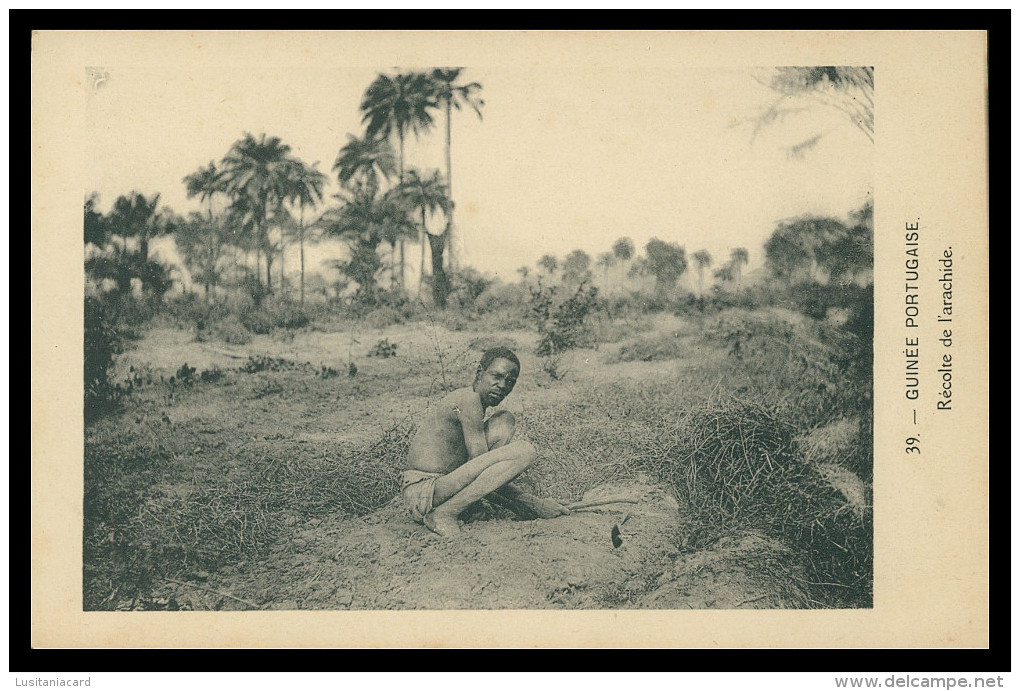 GUINE-BISSAU  - COSTUMES -Jeunes Mandingues ( Ed. D. A. Longuet Nº 39) Carte Postale - Guinea-Bissau