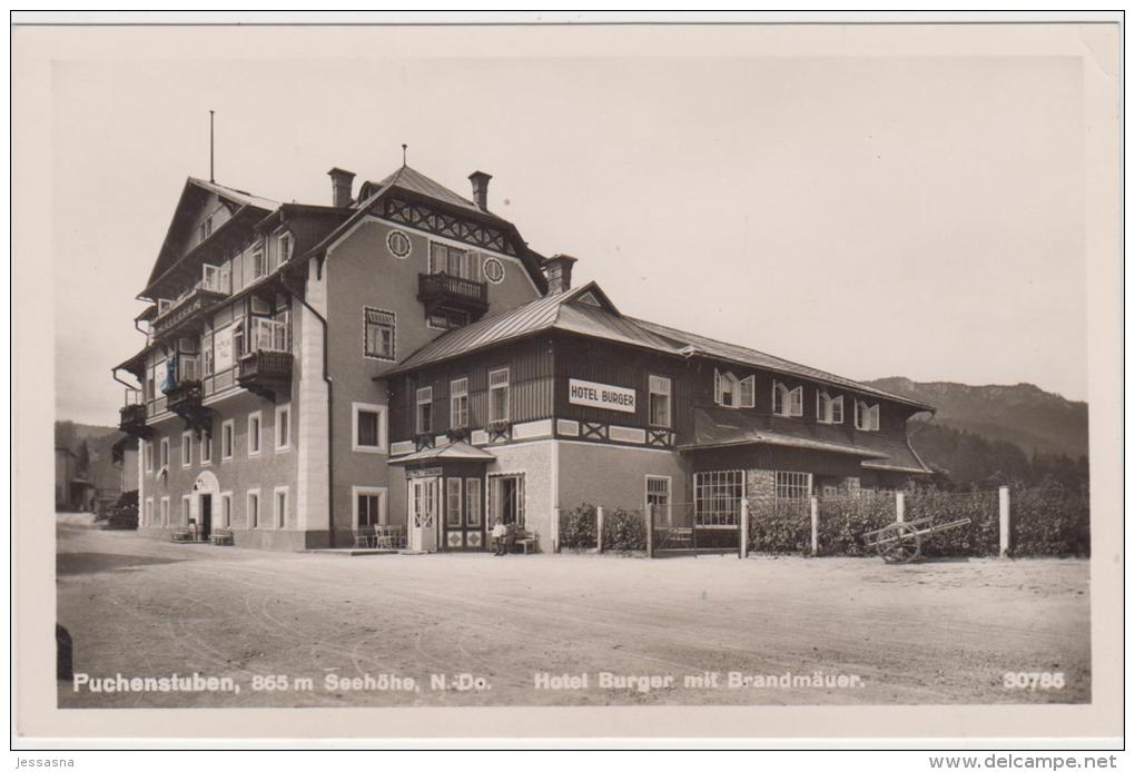 AK - PUCHENSTUBEN - Hotel Burger 1941 - Scheibbs