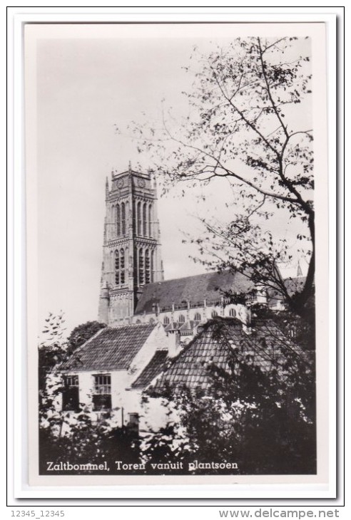 Zaltbommel, Toren Vanuit Plantsoen - Zaltbommel