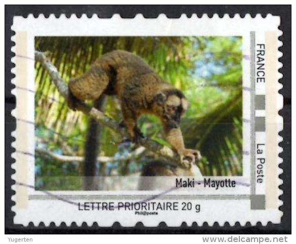 FRANCE Montimbramoi MTM Official Issue Maki De Mayotte Singe Lémurien Monkey Affe Mono Scimmia - Chimpancés