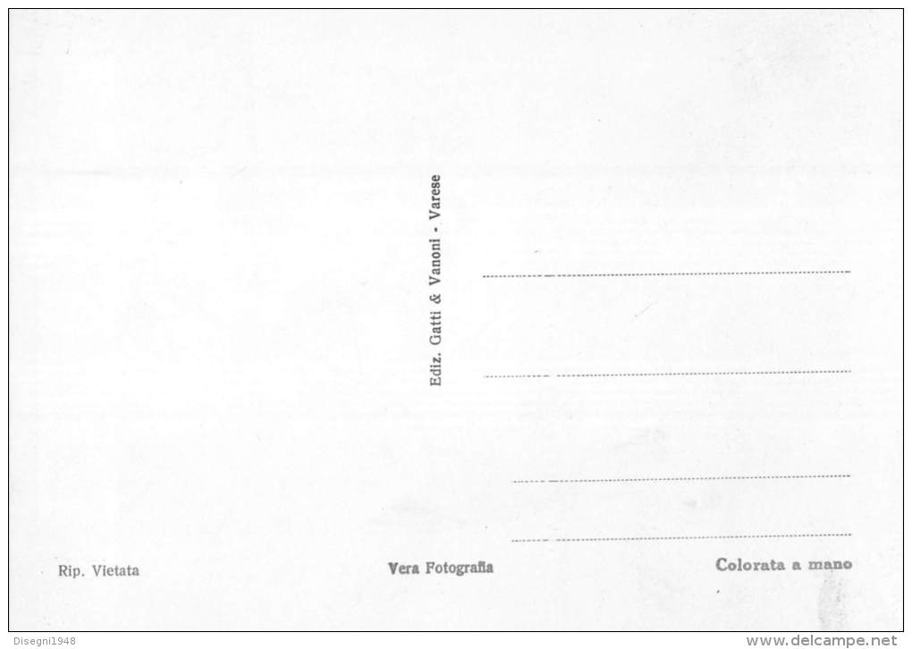 04730 "PONTE TRESA (TI / CH) -  CONFINE ITALO - SVIZZERO" ANIMATA. COL. A MANO SU NEGAT.  CART. POST. ORIG. NON SPEDITA. - Tresa