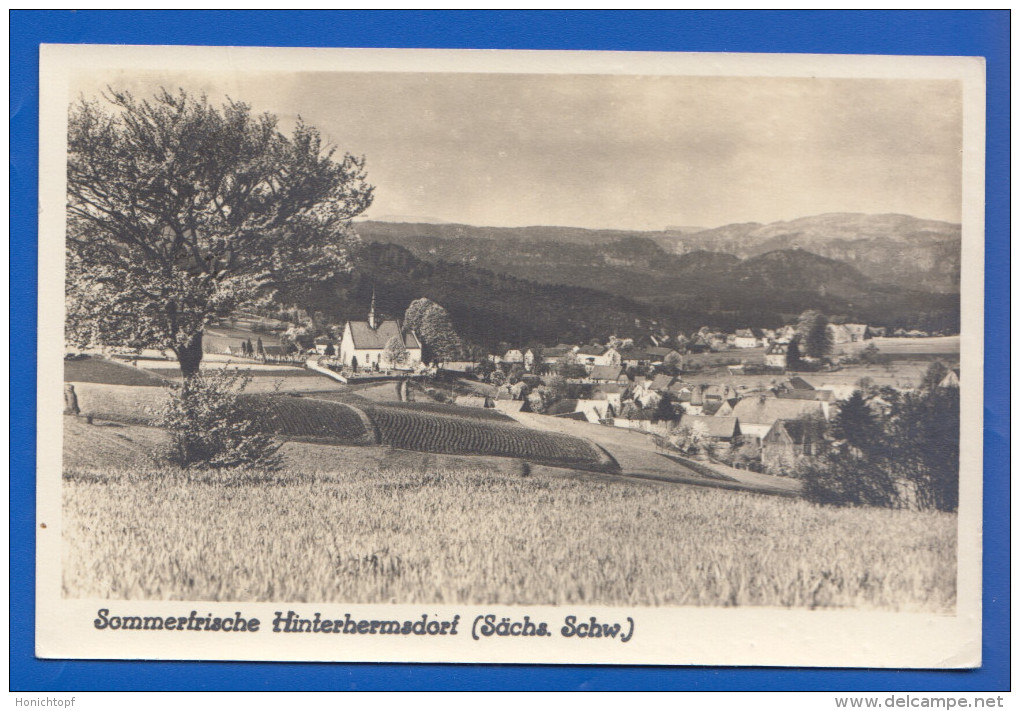 Deutschland; Hinterhermsdorf; Panorama 1954 - Hinterhermsdorf