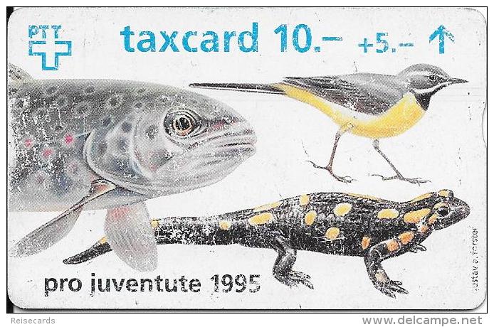 Schweiz: PTT: B-8 508A Pro Juventute 1995 - Singvogel, Fisch, Echse - Songbirds & Tree Dwellers