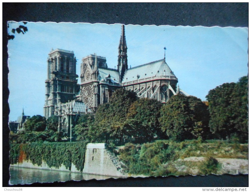 CPDM - PARIS "NOTRE DAME Et La SEINE" - Notre Dame De Paris