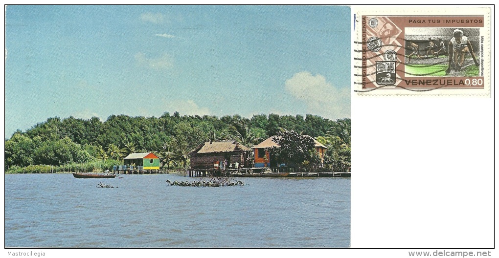 VENEZUELA  ZULIA  Rio Limon  Lake-dwellings  Nice Stamp - Amérique