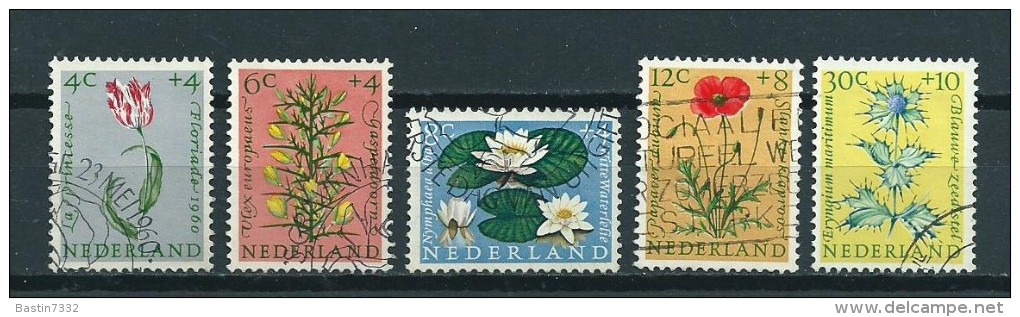 1960 Netherlands Complete Set Flowers,blümen Used/gebruikt/oblitere - Gebruikt