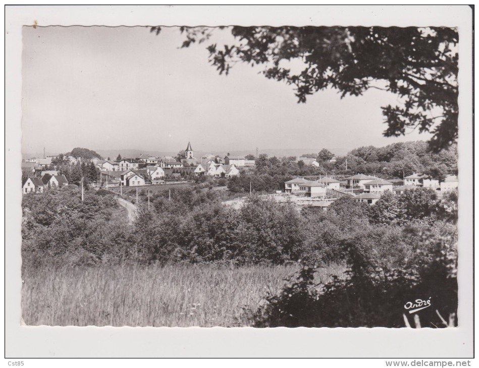 CPSM Grand Format - ST SAINT GEORGES DE MONS - Vue Générale Et La Cité Richemeunier - Autres & Non Classés