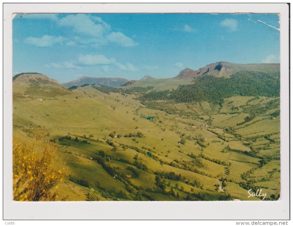 CPM - Paysage D'Auvergne Environs Du PUY MARY La Vallée De La Burande - Autres & Non Classés