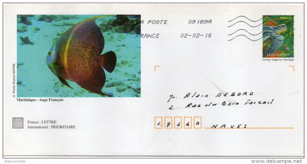 Entier Postal PAP Départemental Personnalisé Martinique Poisson Ange Français Timbre Tortue Luth - PAP:  Varia (1995-...)