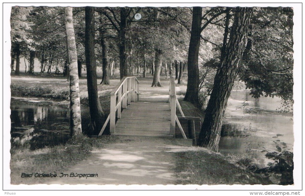 D6040   BAD OLDESLOE : Im Bürgerpark - Bad Oldesloe