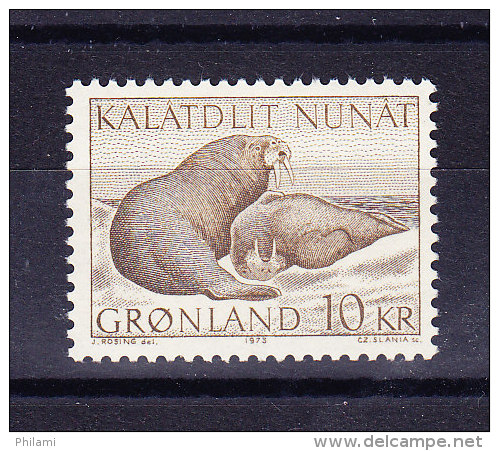 DANEMARK GROENLAND Y&amp;T 71 ** MNH, MORSE.  (6N181) - Other & Unclassified