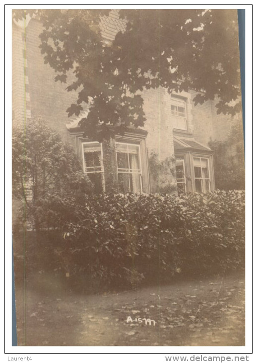 (200 Del) Very Old Postcard - Carte Ancienne - UK - House & Tree (1910) - Árboles