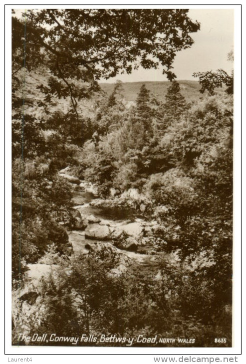(200 Del) Very Old Postcard - Carte Ancienne - UK - North Wales River And Tree - Arbres