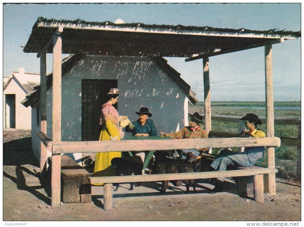 Camargue Avec Les Gardians  - L'heure Du Pastis - Other & Unclassified