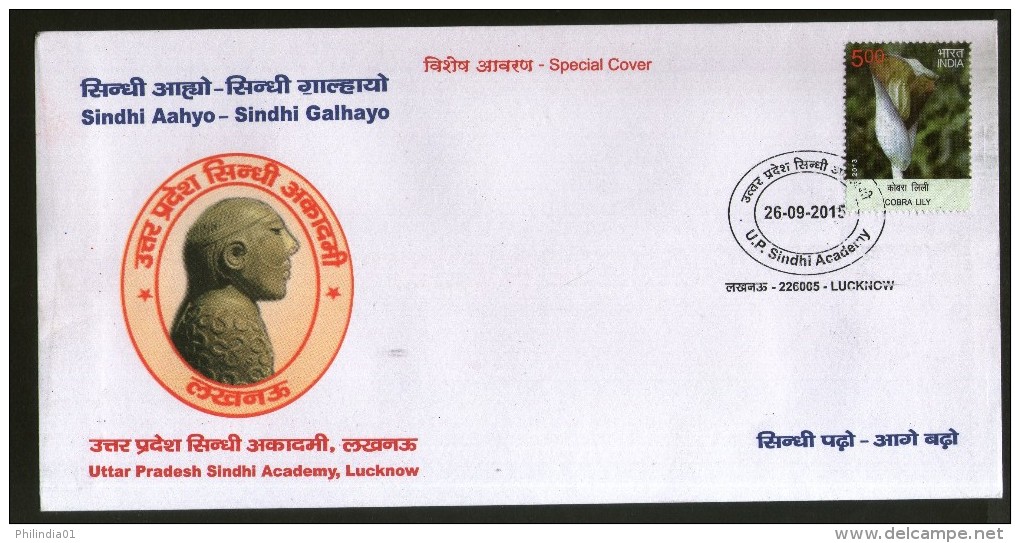 India 2015 Uttar Pradesh Sindhi Academy Lucknow Language Special Cover # 7396B - Other & Unclassified